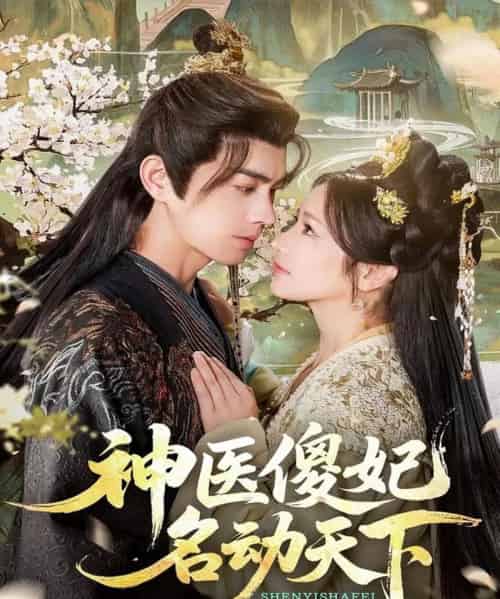 神医傻妃名动天下（80集全）王彦鑫＆伍姣-海之城短剧项目