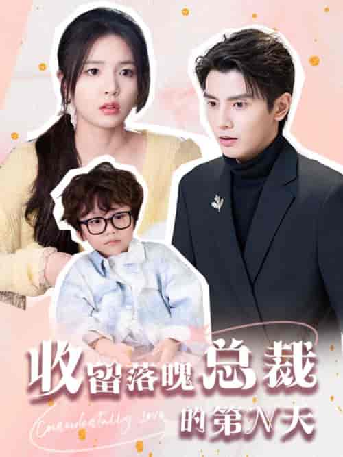 收留落魄总裁的第N天（60集全）何聪睿＆张许晗 - 海之城短剧