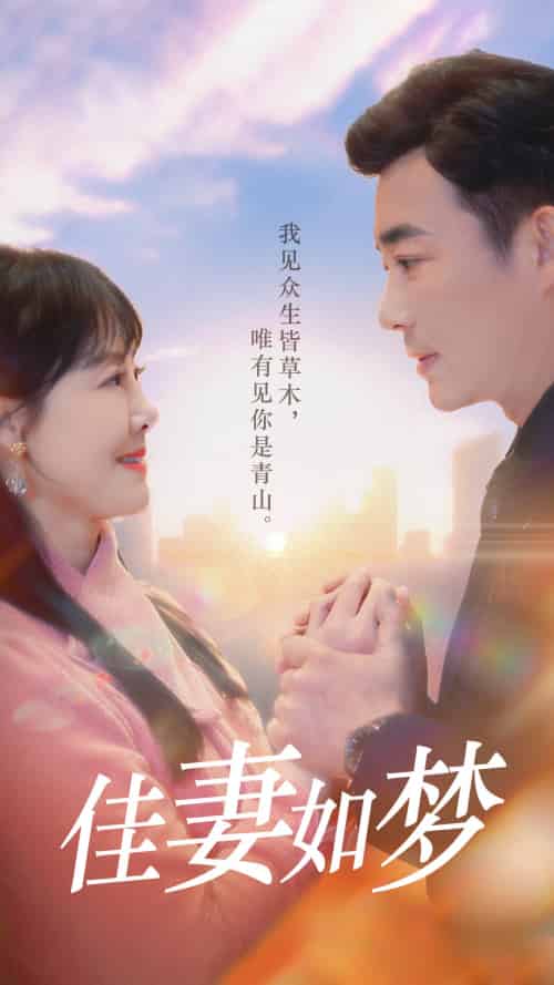 佳妻如梦（70集） - 海之城短剧