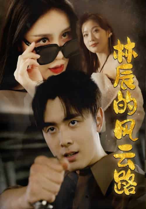 林辰的风云路（79集全）林辰＆舒梦月 - 海之城短剧
