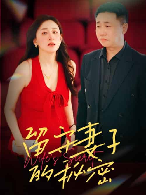 留守妻子的秘密（28集全） - 海之城短剧