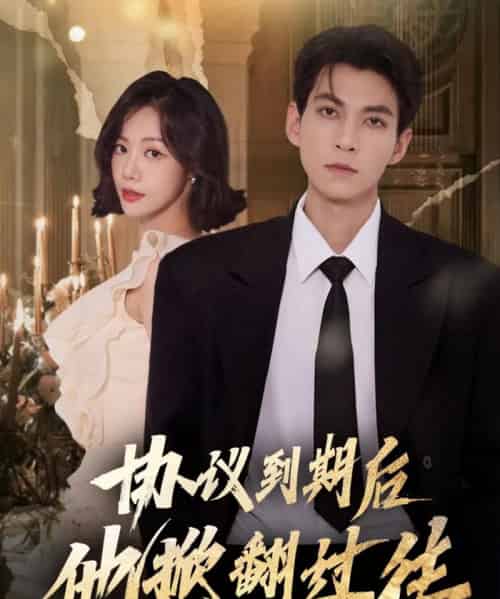 协议到期后他掀翻过往（60集全）云鹤＆梁诗琦-海之城短剧项目