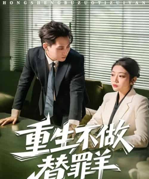 重生不做替罪羊（80集全）张家源＆齐惠昭-海之城短剧项目