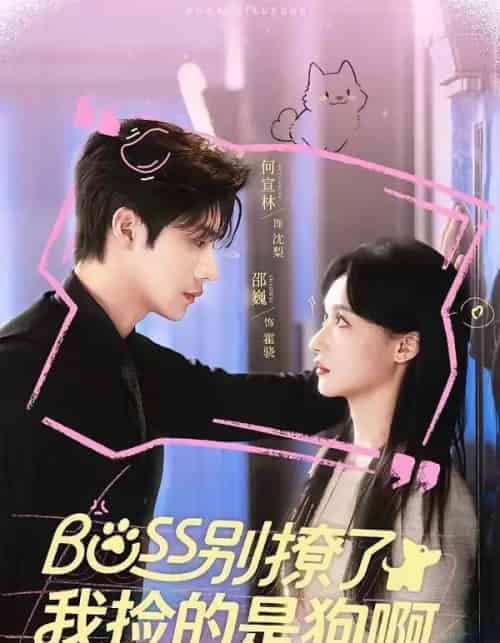 Boss别撩了，我捡的是狗呀（65集全）邵魏＆何宣林-海之城短剧项目