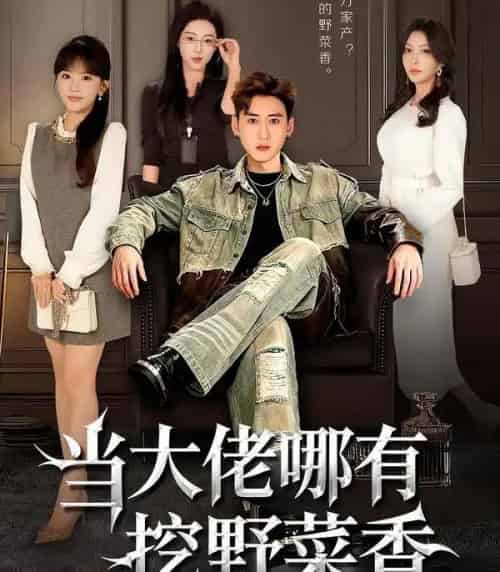 当大佬哪有挖野菜香（76集全）常子轩＆程妤-海之城短剧项目