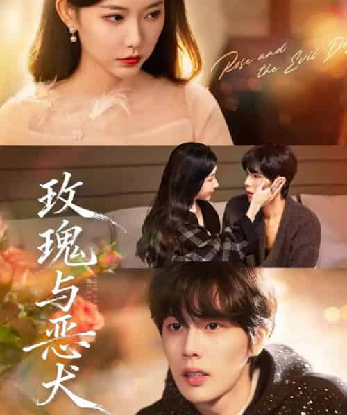 玫瑰与恶犬（80集全）马义炎＆盛晨-海之城短剧项目