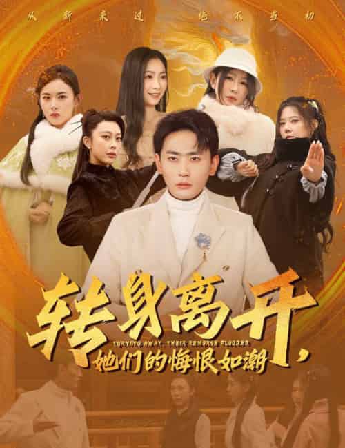 转身离开她们的悔恨如潮（60集全）宣以豪＆耿池苏＆王妍 - 海之城短剧