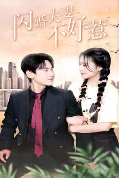 闪婚夫妻不好惹（90集）宋彧佳 - 海之城短剧