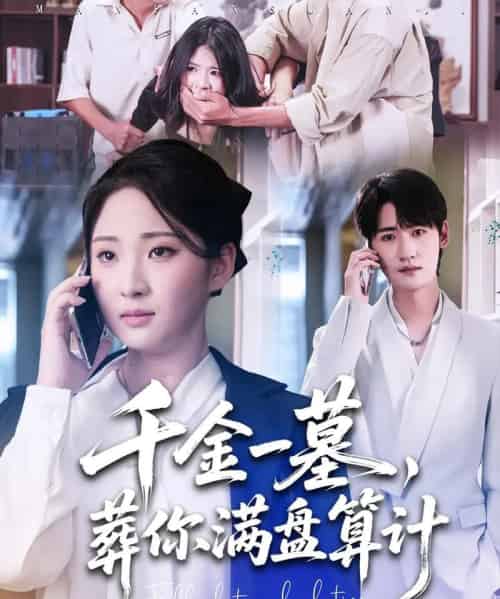 千金一墓，葬你满盘算计（30集全）高铭远＆方雪婷-海之城短剧项目