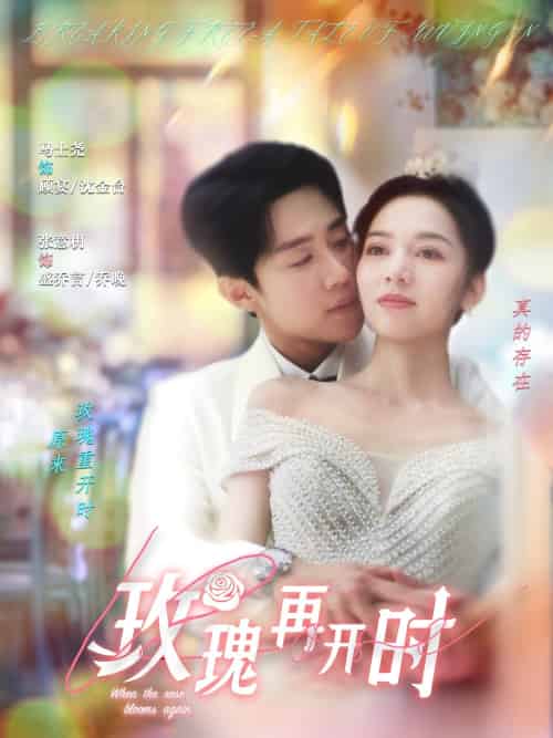玫瑰再开时 玫瑰再开时