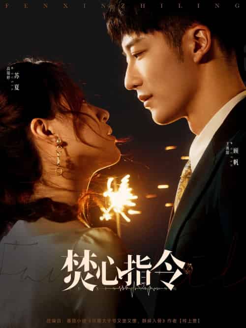 焚心指令 焚心指令