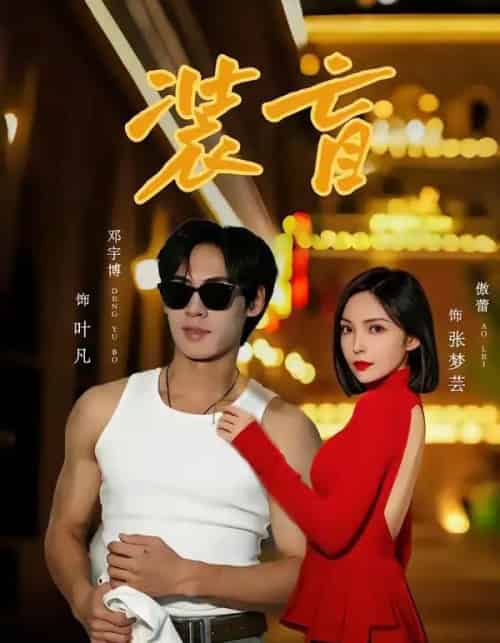 装盲（80集全）邓宇博＆傲蕾-海之城短剧项目