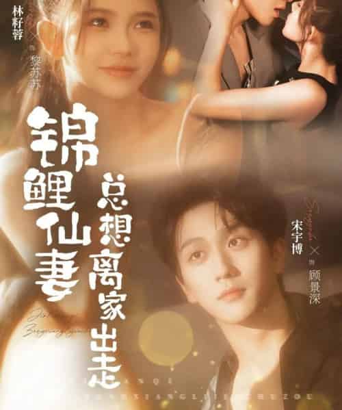 锦鲤仙妻总想离家出走（64集全）林籽蓉＆宋宇博-海之城短剧项目