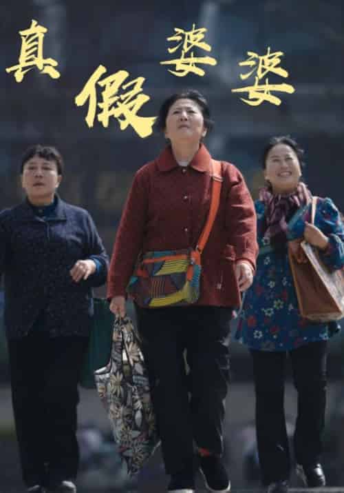 真假婆婆（61集全）陈大宝＆苏晴鱼 - 海之城短剧