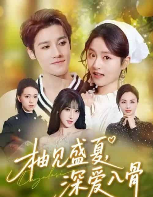 柚见盛夏，深爱入骨（65集全）左馨＆沈帆-海之城短剧项目