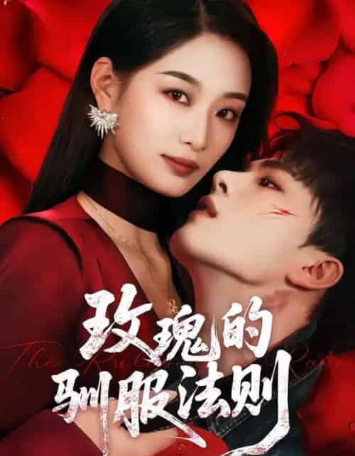 玫瑰的驯服法则（65集全）韩佳卉＆郑铂瀚-海之城短剧项目