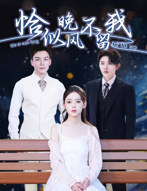 恰似晚风不留我&弃他如风 恰似晚风不留我&弃他如风