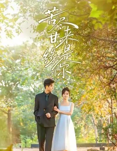 苦尽甘来缘是你（45集全）刘晓宇＆杜昱泽-海之城短剧项目