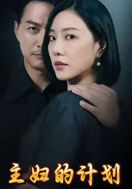 主妇的计划（84集全）肖建安＆周静 - 海之城短剧