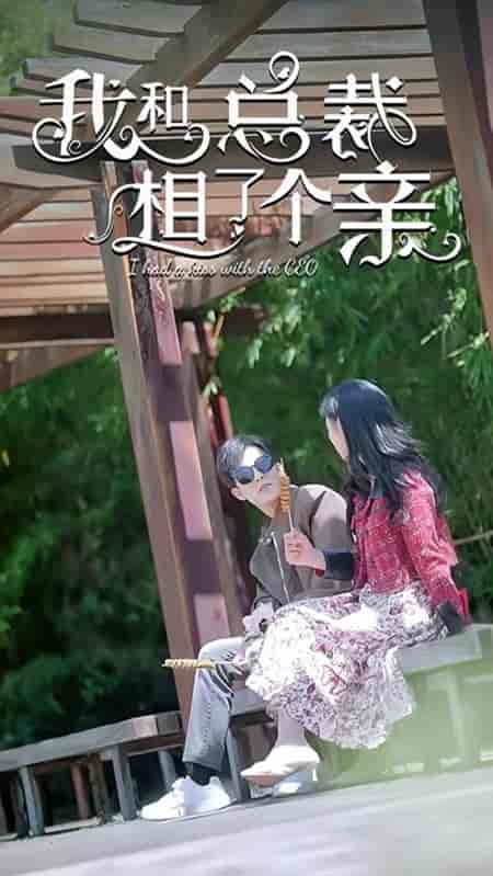 我和总裁相了个亲（90集）姚冠宇 - 海之城短剧