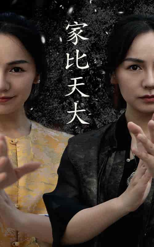 家比天大（63集） - 海之城短剧