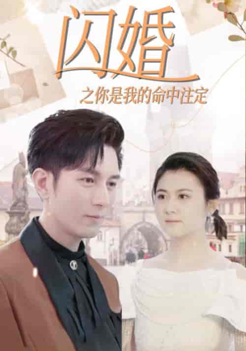 闪婚之你是我的命中注定（82集全）宋远洲＆白苏 - 海之城短剧