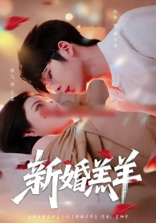 新婚羔羊（89集全）向帅＆程儿-海之城短剧项目