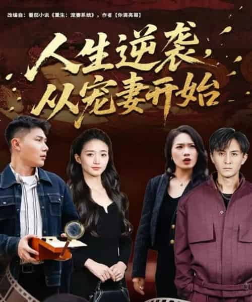 人生逆袭，从宠妻开始（80集全）张钧凯＆董秋怡-海之城短剧项目