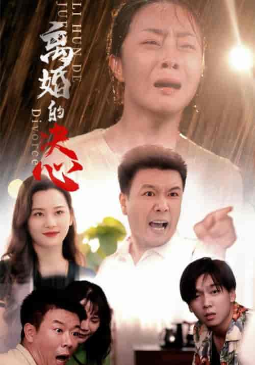 离婚的决心（48集全）赵建军＆李秀华 - 海之城短剧