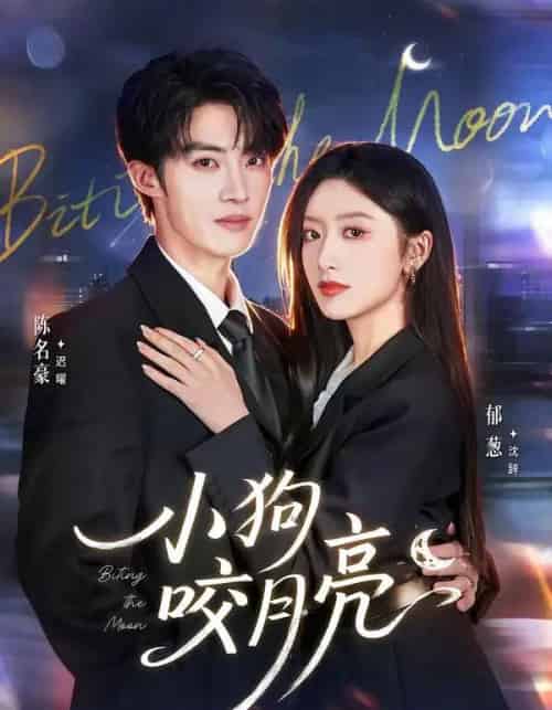 小狗咬月亮（66集全）陈名豪＆郁葱-海之城短剧项目