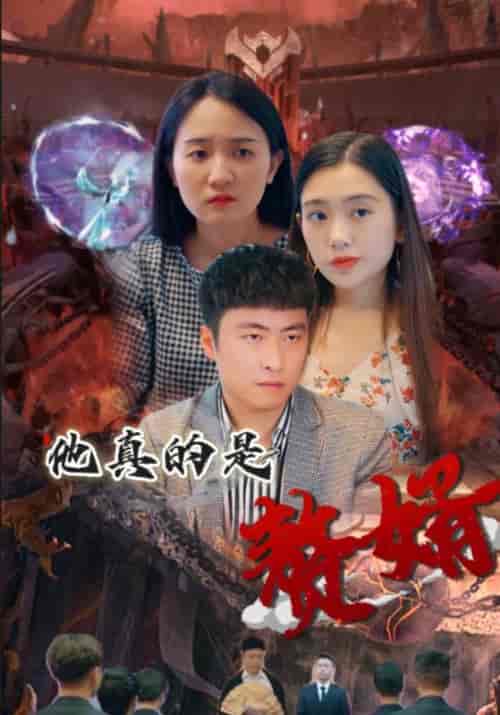 他真的是赘婿（48集全）秦臻＆陈对对 - 海之城短剧