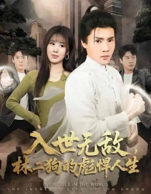 入世无敌，林二狗的彪悍人生（70集全）黄佳俊＆朱梦怡-海之城短剧项目