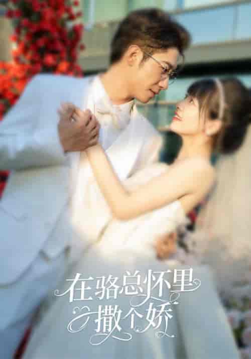 在骆总怀里撒个娇（87集）-海之城短剧项目