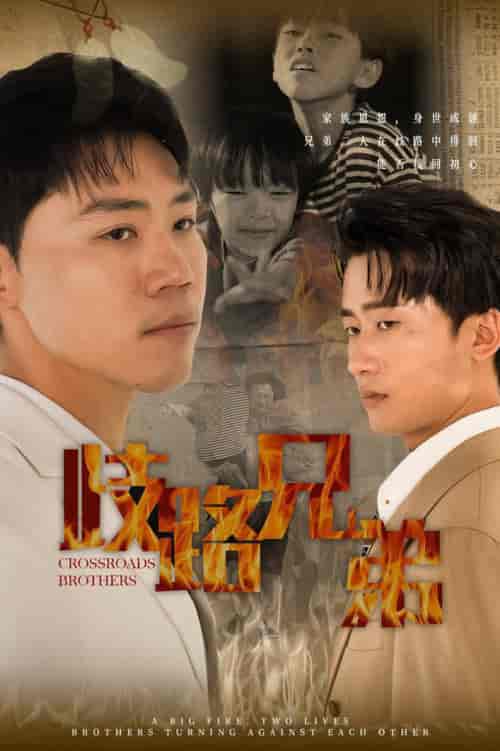 歧路兄弟（63集全） - 海之城短剧