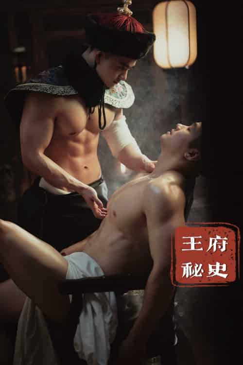 王府秘史（腐剧）-海之城短剧项目