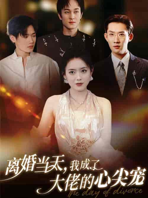 离婚当天我成了大佬的心尖宠（60集全）韩一思＆彭娜莎 - 海之城短剧