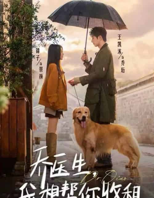 乔医生，我想帮你收租（81集全）王凯沐＆锦子-海之城短剧项目