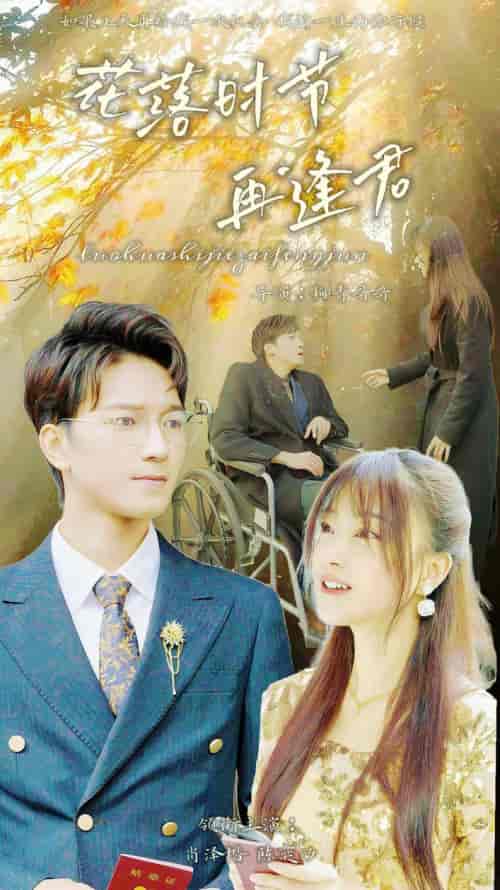 落花时节再逢君（82集） - 海之城短剧
