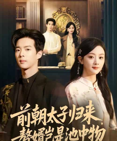 前朝太子归来，赘婿岂是池中物（80集全）员烽豪＆李秀-海之城短剧项目