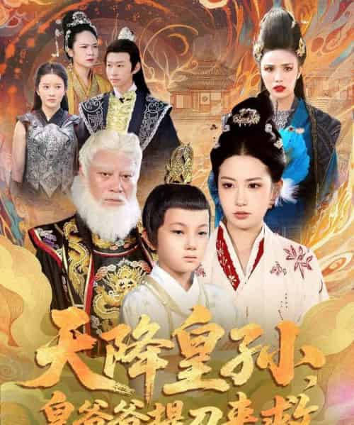 天降皇孙，皇爷爷提刀来救（90集全）梅瑞滢＆李仲桓 - 海之城短剧