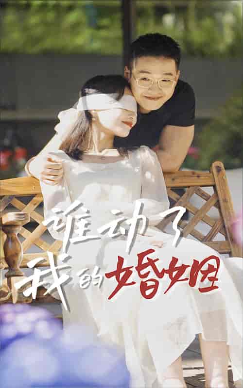 谁动了我的婚姻（24集） - 海之城短剧