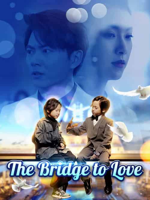 The Bridge to Love（80集全）Jay＆Irwin＆＆Amber＆Clark - 海之城海外短剧