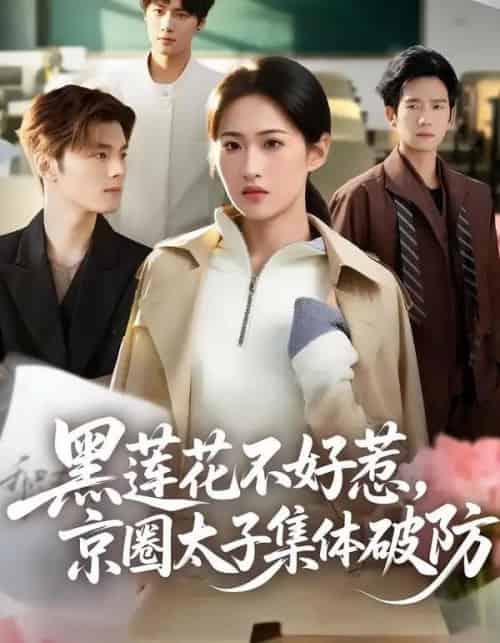 黑莲花不好惹，京圈太子集体破防（53集全）申晴＆彭瑞风-海之城短剧项目
