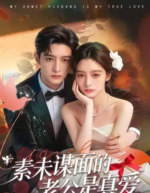 素未谋面的老公是真爱（75集全）-海之城短剧项目