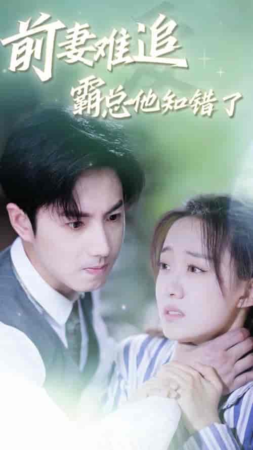 前妻难追，霸总他知错了（87集）侯呈月 - 海之城短剧