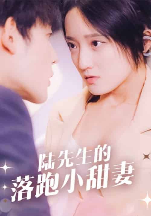 陆先生的落跑小甜妻（85集全）陆时晏＆苏心语 - 海之城短剧