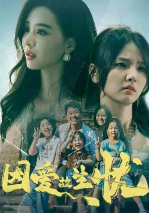 因爱故生忧（100集全）姜涛＆姜雪 - 海之城短剧
