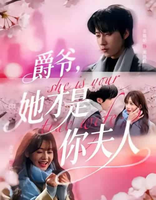 爵爷她才是你夫人（84集全）-海之城短剧项目