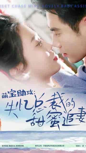 萌宝助攻：失忆总裁的甜蜜追妻（88集） - 海之城短剧