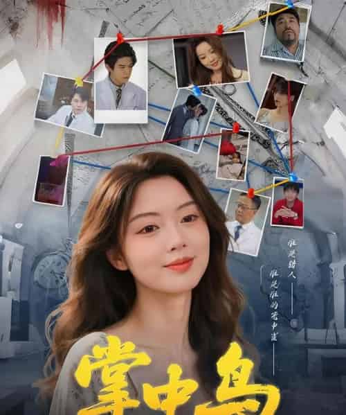 掌中鸟（42集）唐朵＆李衡伟-海之城短剧项目